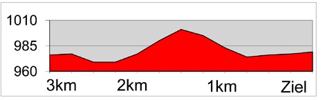 Hhenprofil Tour de Suisse 2013 - Etappe 1, letzte 3 km