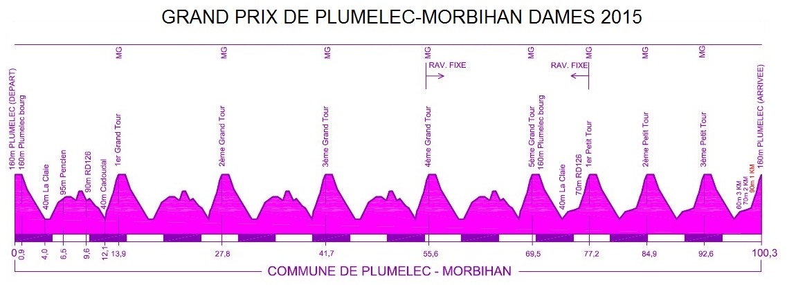 Hhenprofil Grand Prix de Plumelec-Morbihan Dames 2015