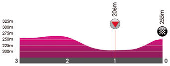 Hhenprofil VOO-Tour de Wallonie 2017 - Etappe 1, letzte 3 km