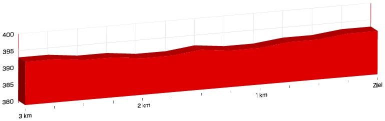 Hhenprofil Tour de Suisse 2018 - Etappe 1, letzte 3 km