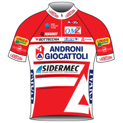 Trikot Androni Giocattoli - Sidermec (ANS) 2019 (Quelle: UCI)