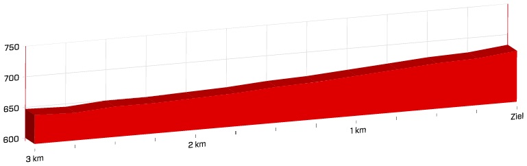 Hhenprofil Tour de Suisse 2019 - Etappe 2, letzte 3 km