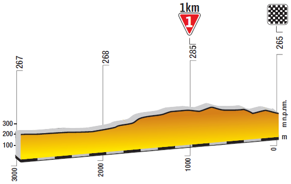 Hhenprofil Tour de Pologne 2019 - Etappe 2, letzte 3 km