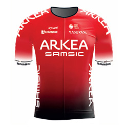 Trikot Team Arka - Samsic (ARK) 2020 (Quelle: UCI)