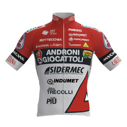 Trikot Androni Giocattoli - Sidermec (ANS) 2021 (Quelle: UCI)