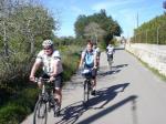 Die Radwanderer auf dem Weg nach Llucmajor