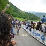Giro dItalia, Etappe 13 -Rubens Bertogliati fhrt die Spitzengruppe an ( LiVE-Radsport.com)