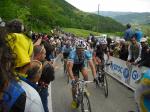 Giro dItalia, Etappe 13 - Weitere Milram-Fahrer ( LiVE-Radsport.com)