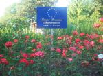 Seit 1993 offiziell Europa-Rosarium, die grte Rosensammlung der Welt