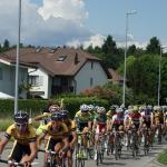 GP Aargau-Gippingen - das Hauptfeld angefhrt von Team Miche