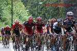 Eneco-Tour 6. Etappe - das Hauptfeld am Cauberg