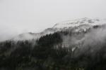 Die schneebedeckten Hnge in Chtel (Foto: Thomas Tietze)