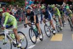 Tour de Suisse 3. Etappe - die Spitze des Feldes kurz nach der ersten Zieldurchfahrt in Aarberg