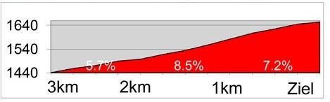 Hhenprofil Tour de Suisse 2013 - Etappe 2, letzte 3 km
