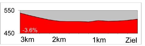 Hhenprofil Tour de Suisse 2013 - Etappe 8, letzte 3 km